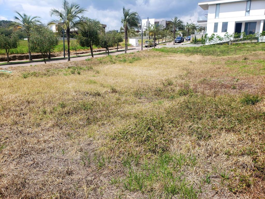Exclusivo Terreno de Venta Ubicado Dentro de Urbanización Consolidada en La Cerámica — imagen 3