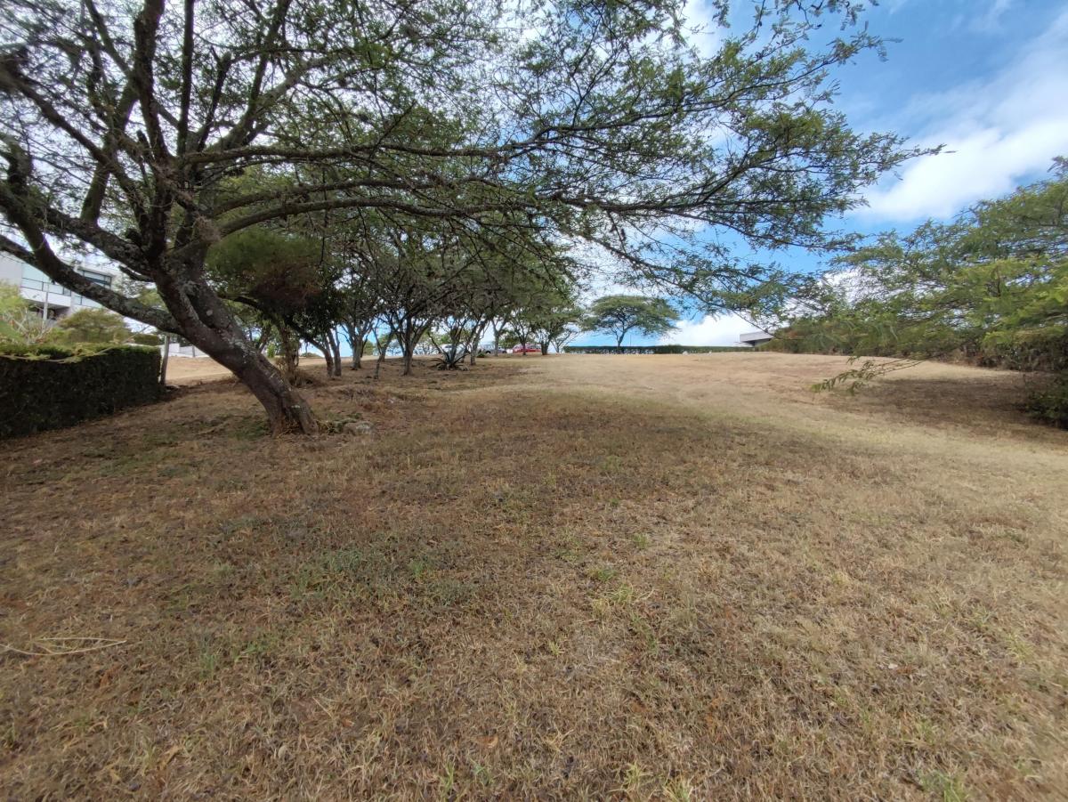 La Quinta Urbanizacion en Cumbaya Venta Terreno — imagen 5