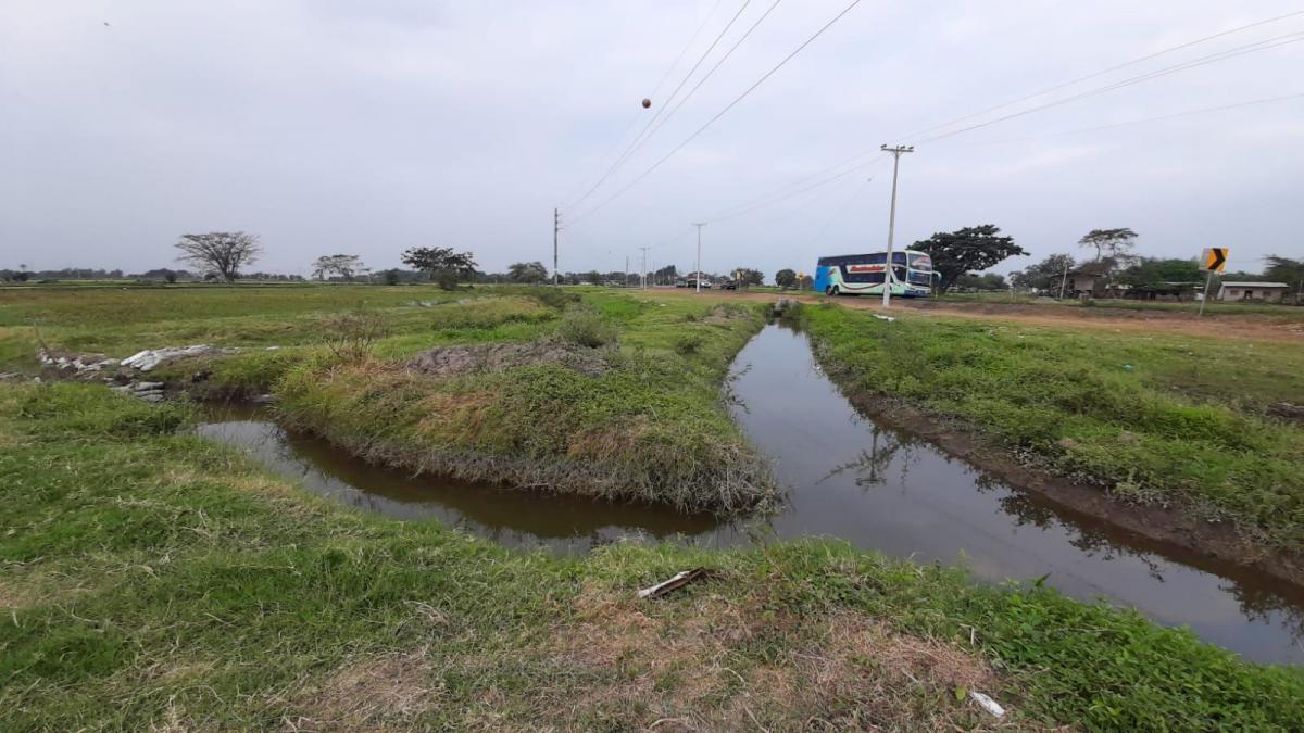 Venta de Terreno Industrial, Comercial o Agroindustrial Via a Yaguachi 21 Has, Guayas — imagen 5