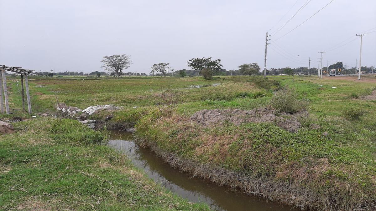 Venta de Terreno Industrial, Comercial o Agroindustrial Via a Yaguachi 21 Has, Guayas — imagen 4