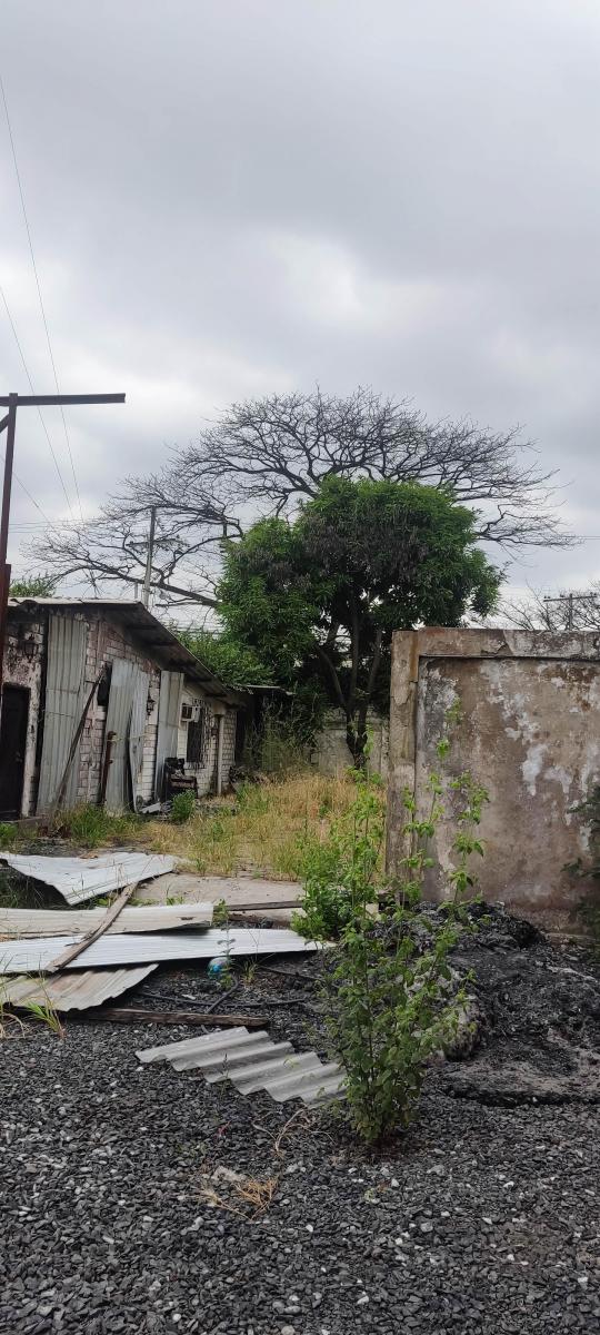 Vendo Terreno Industrial Inmaconsa 14.700 m Cuadrados Via a Daule,, Guayas — imagen 5