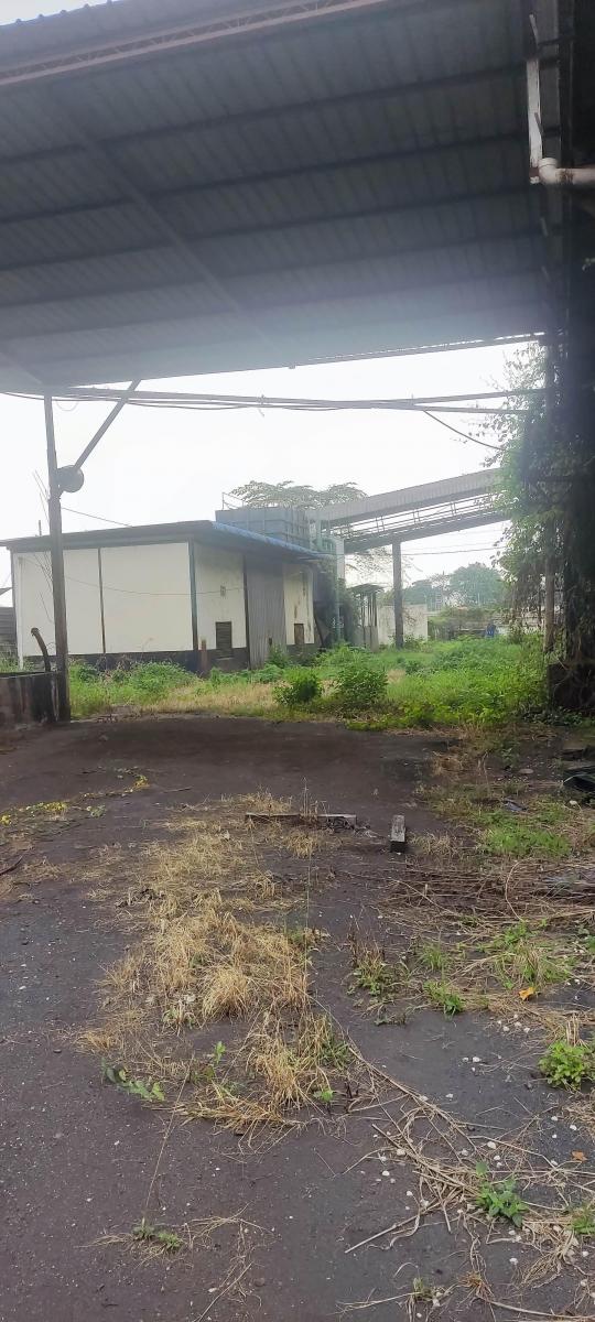 Vendo Terreno Industrial Inmaconsa 14.700 m Cuadrados Via a Daule,, Guayas — imagen 4