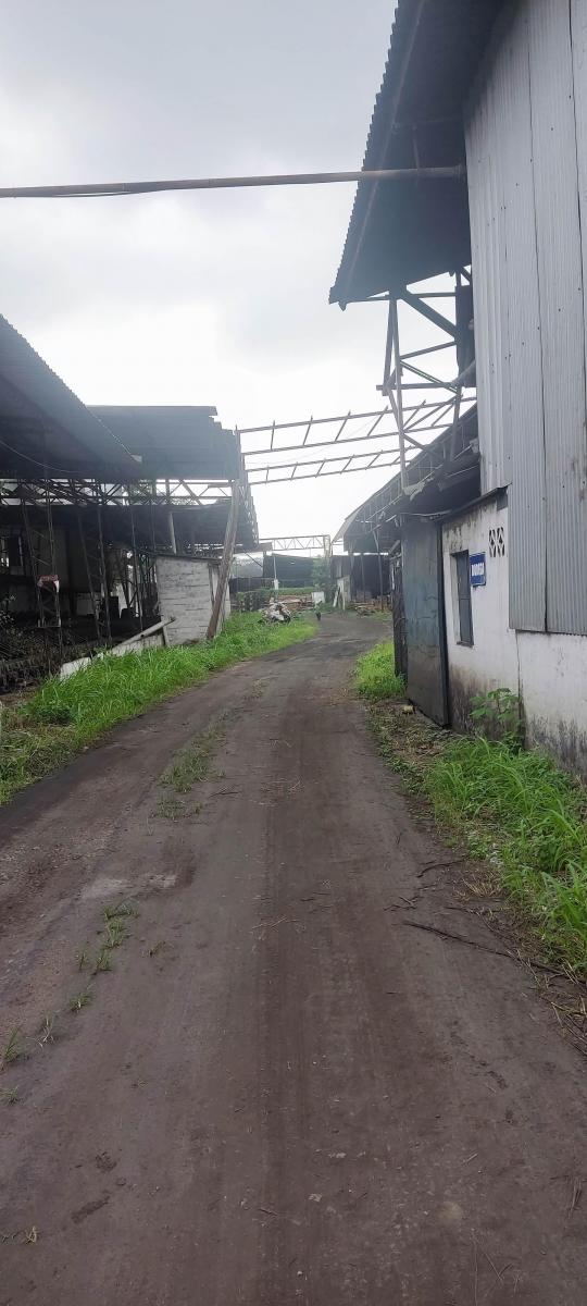 Vendo Terreno Industrial Inmaconsa 14.700 m Cuadrados Via a Daule,, Guayas — imagen 3