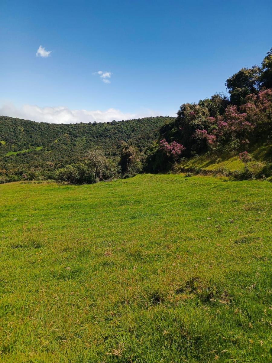 Lotes Urbanizados en Venta - Quito — imagen 3