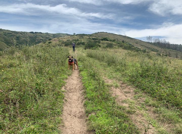 Vendo Terreno Chiviqui Alto Tumbaco — imagen 3