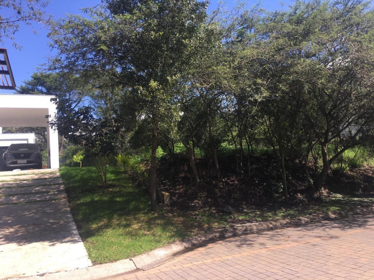 Vendo Bonito Terreno de 1000 m en Prados de La Viña Cumbaya — imagen 3