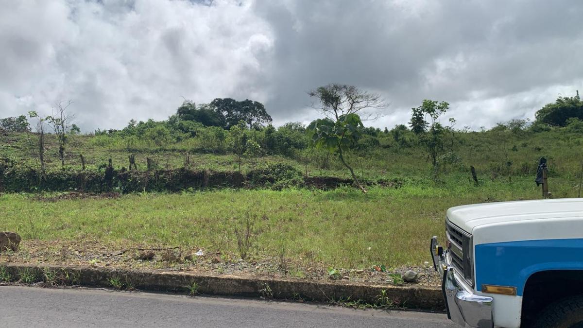 Vendo Terreno de 25.000 m en Pedro Vicente Maladonado — imagen 5