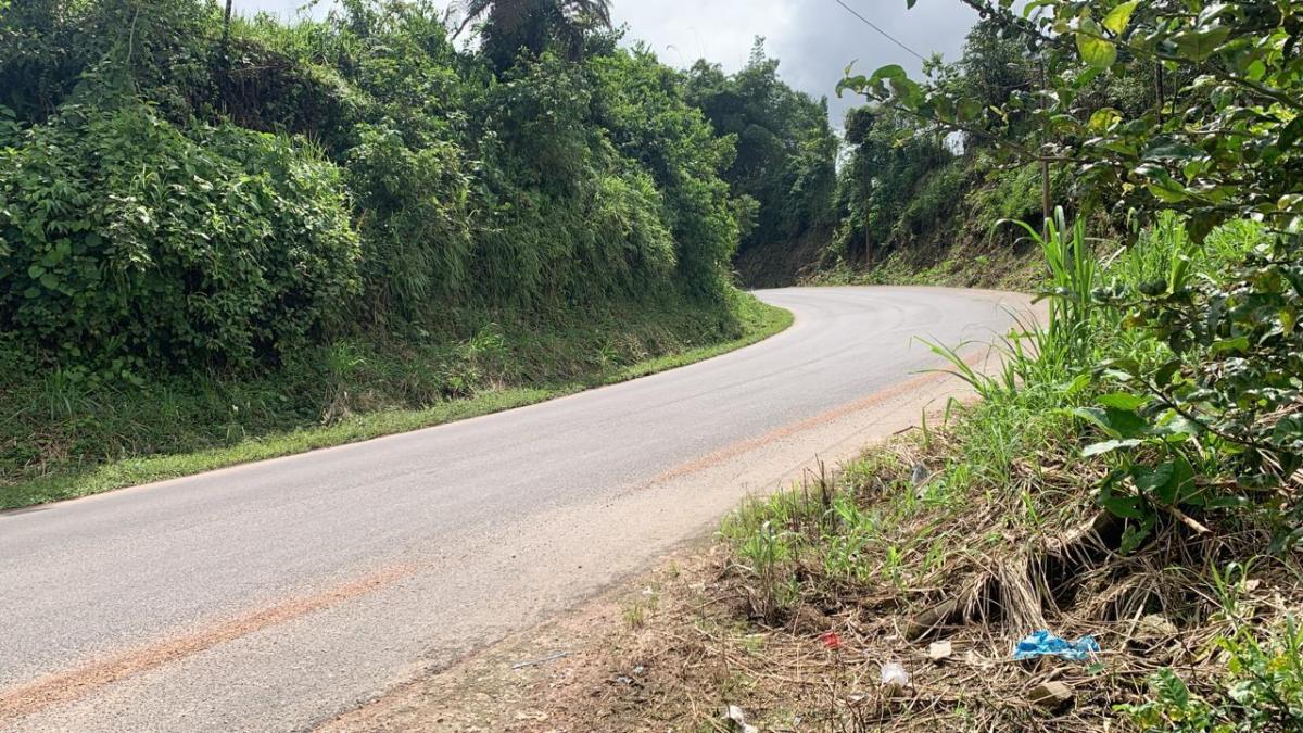 Vendo Terreno de 25.000 m en Pedro Vicente Maladonado — imagen 4