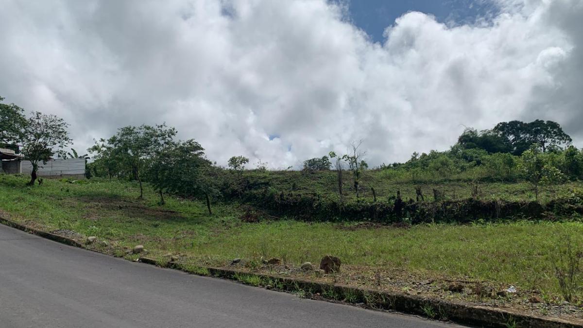 Vendo Terreno de 25.000 m en Pedro Vicente Maladonado — imagen 3