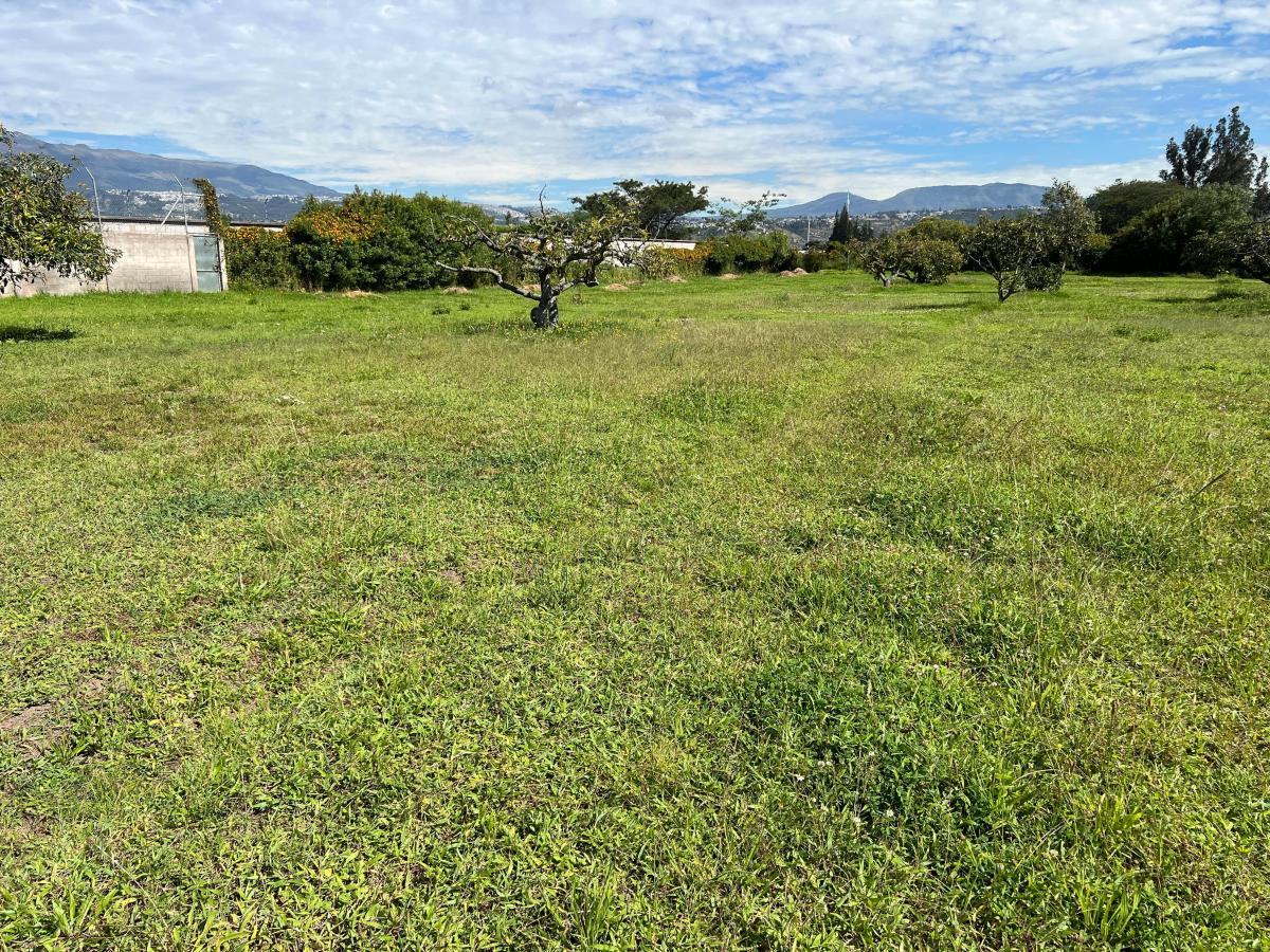 Puembo, Terreno de Venta Dentro de Urbanización El Chaupi — imagen 4