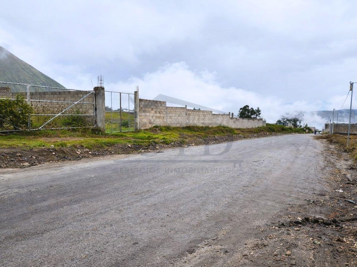 Terreno de 307 m² en Alquiler en San Antonio — imagen 5