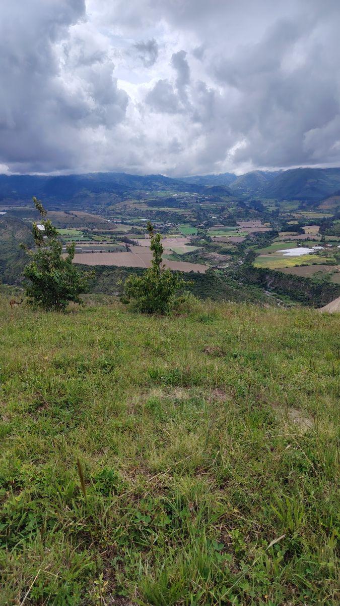 De Venta Finca de 7 Hectáreas en Chaltura, Imbabura — imagen 3