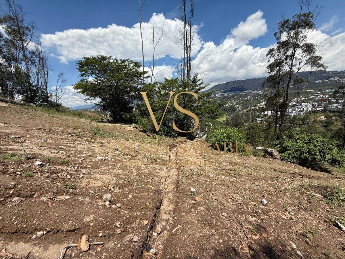 Vendo Terreno Dentro de Urb. Pillagua en Cumbaya, Quito - Ecuador — imagen 4