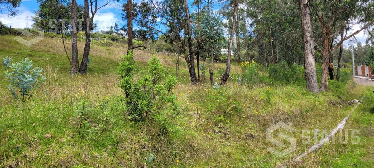 Venta de Terreno Sector La Macarena — imagen 4