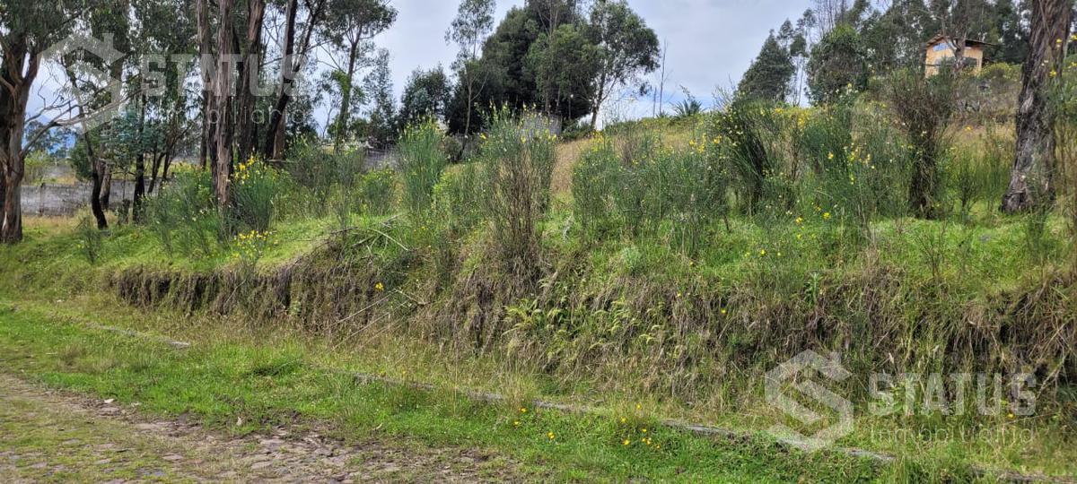 Venta de Terreno Sector La Macarena — imagen 3