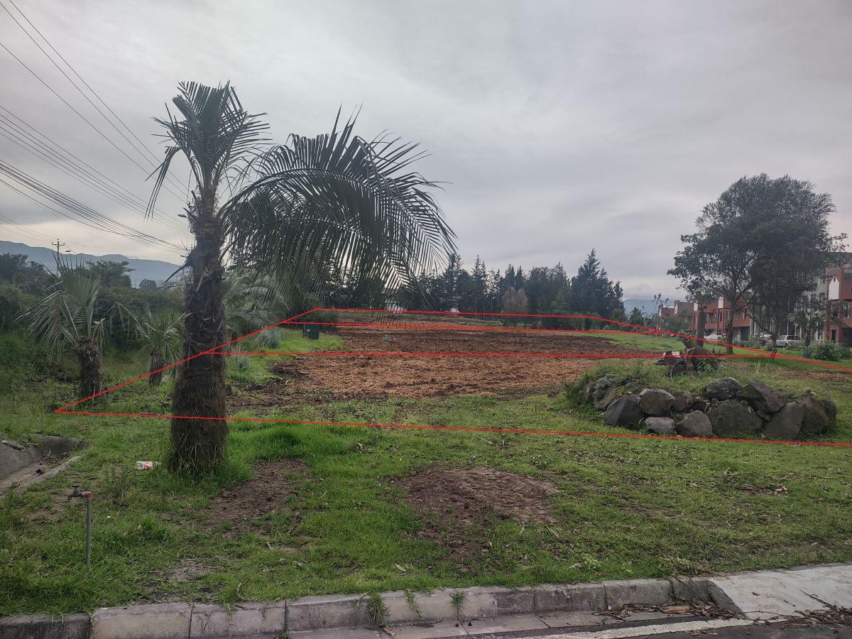 Rento 3 Lotes Comerciales de 2.500 m² c/u Sangolqui, Sector Colibri, con Frente a Av Gral Rumiñahui — imagen 6