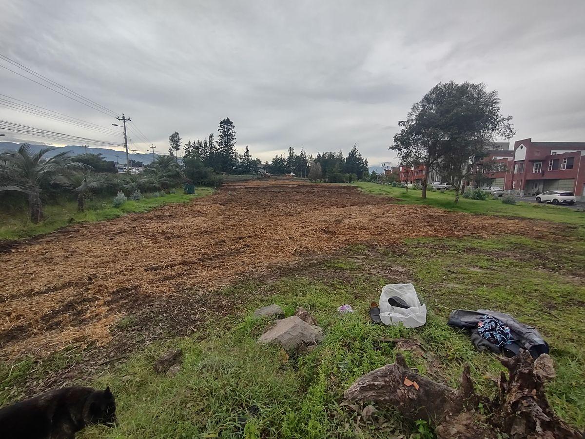 Rento 3 Lotes Comerciales de 2.500 m² c/u Sangolqui, Sector Colibri, con Frente a Av Gral Rumiñahui — imagen 4