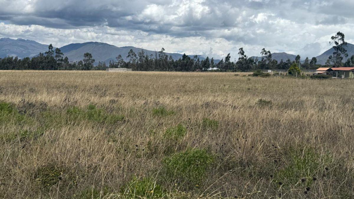 Terreno en Venta 56.000 m², en Malchinguí — imagen 5