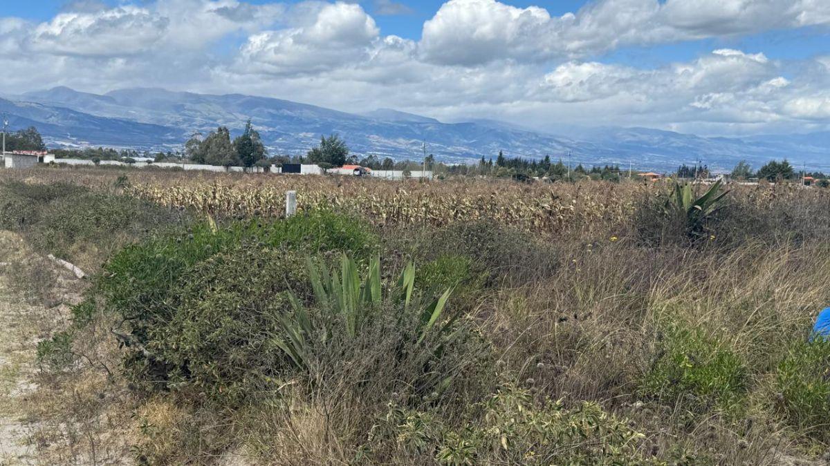 Terreno en Venta 56.000 m², en Malchinguí — imagen 4