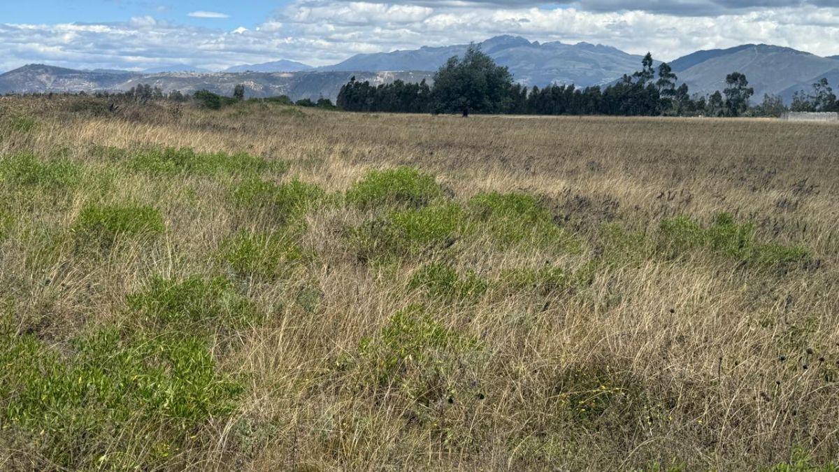 Terreno en Venta 56.000 m², en Malchinguí — imagen 3