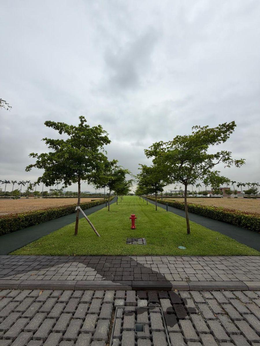 Samborondón Km 8 Urbanización Parques de Batán Terrenos en Venta, Guayas — imagen 3