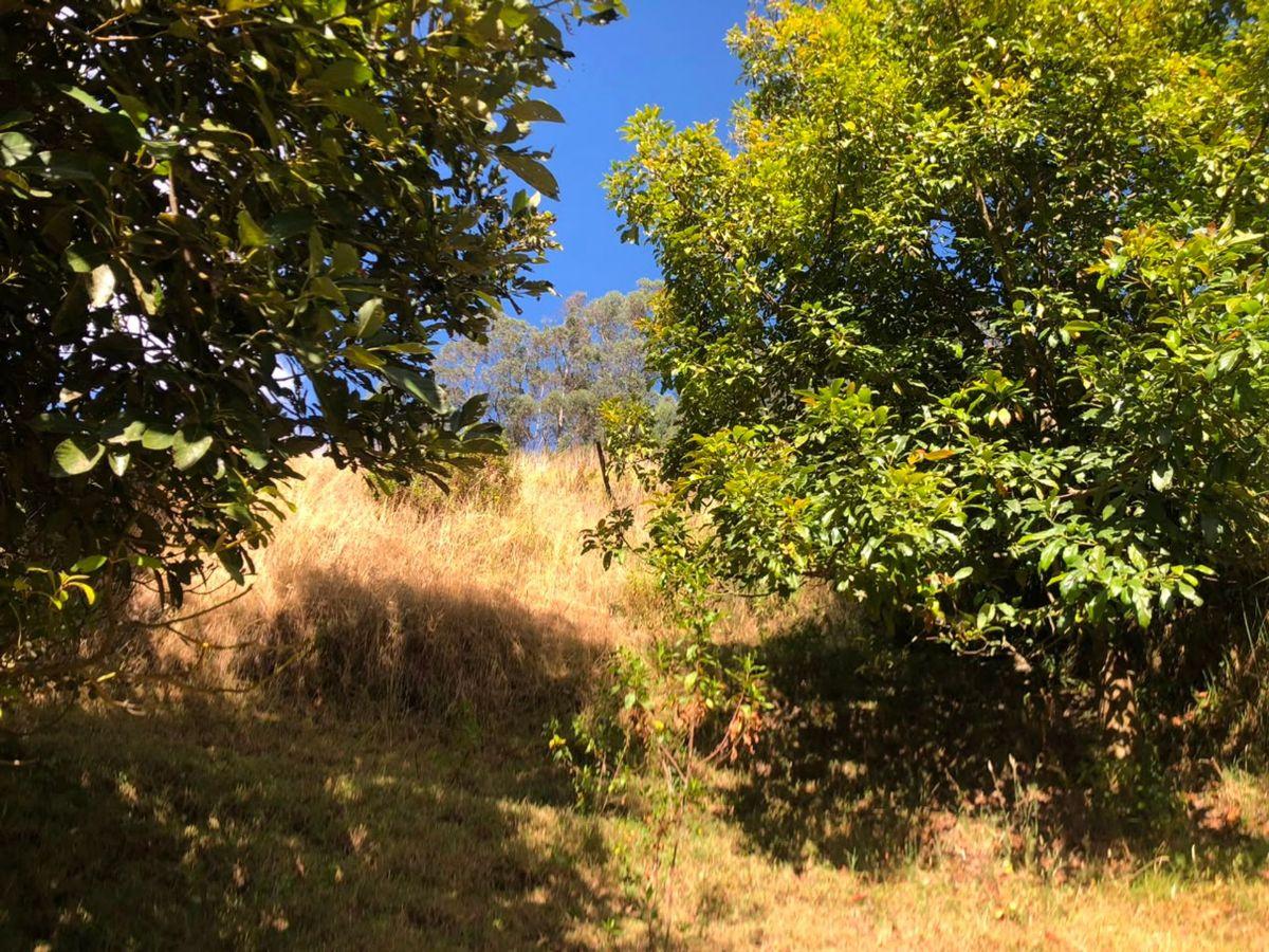 Terreno en Venta, Autopista General Rumiñahui — imagen 7