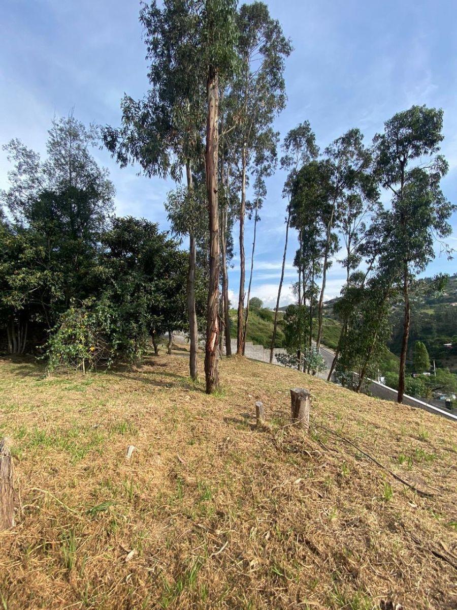 Hermoso Terreno Dentro de Urbanización en Tumbaco — imagen 7