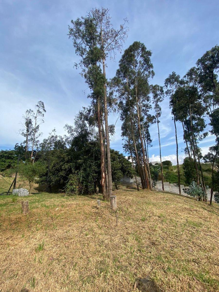Hermoso Terreno Dentro de Urbanización en Tumbaco — imagen 6