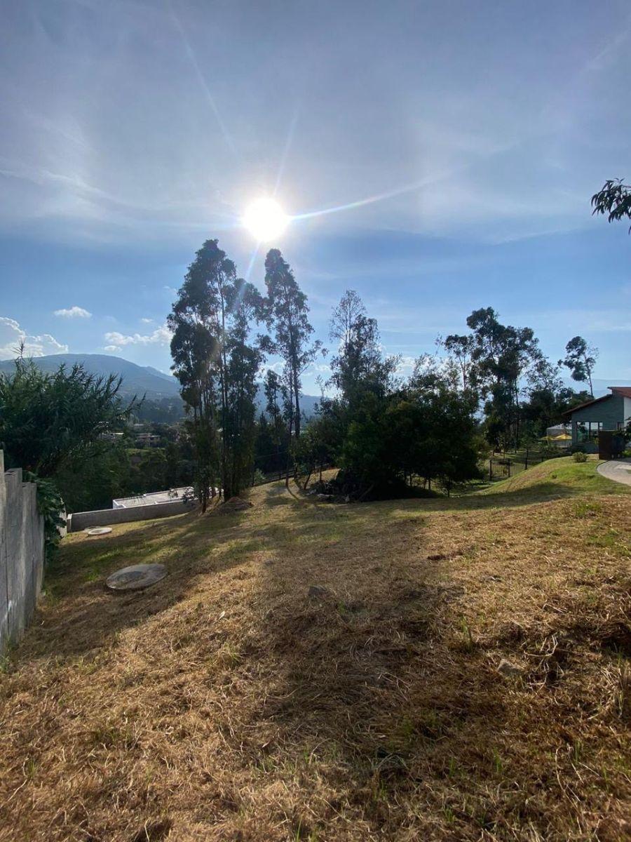 Hermoso Terreno Dentro de Urbanización en Tumbaco — imagen 4