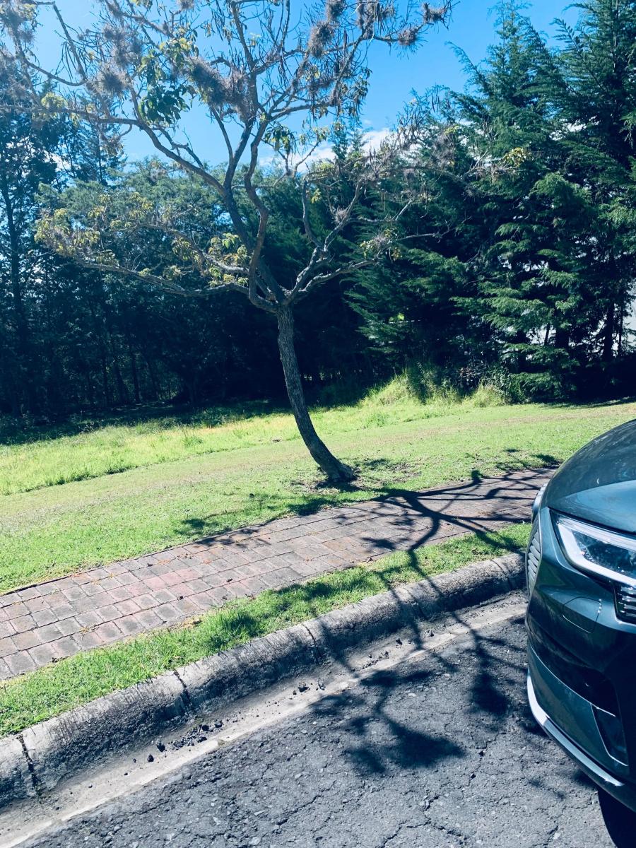 Venta Terreno Puembo Urbanizacion Arrayanes — imagen 8