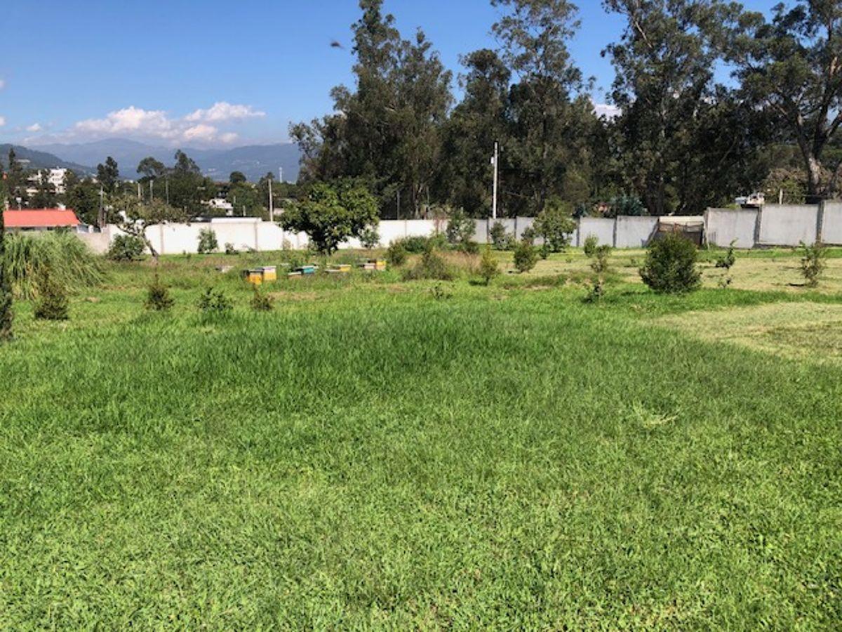 Terreno, Excelente Plano, Vegetación, Cerramiento — imagen 7