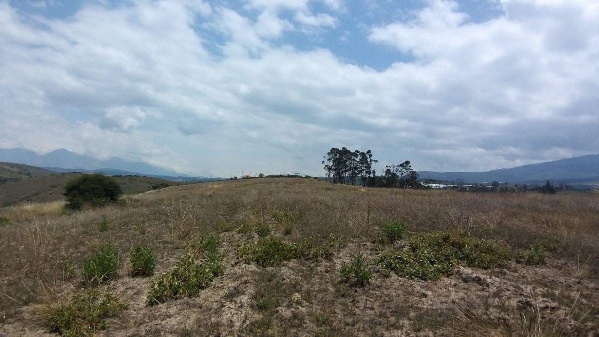 Terreno en Cochasquí – Pichincha — imagen 5