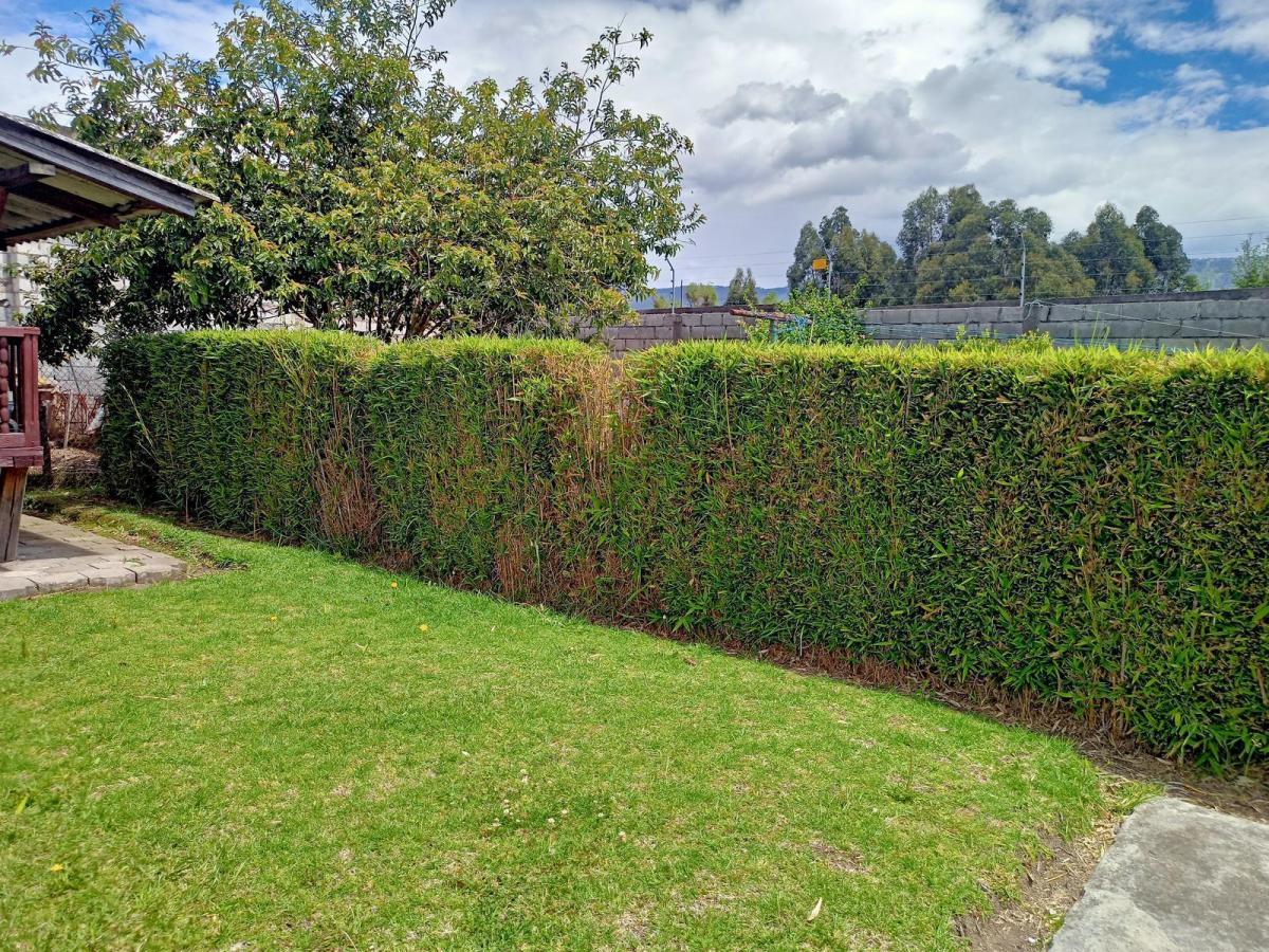Conocoto 2 Casas de Una Planta en Venta Cerca Av Ilalo Ideal Para Geriátrico, Escuela — imagen 8