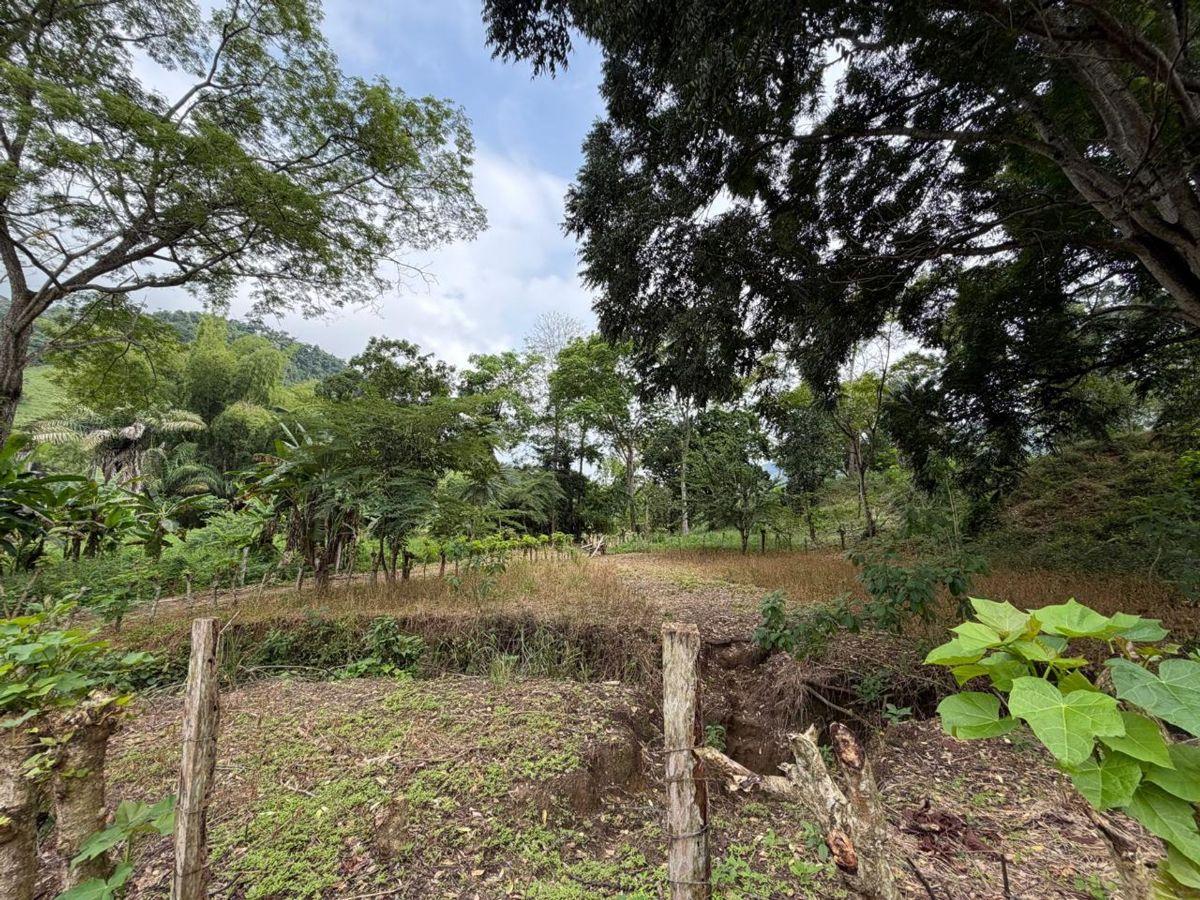 Terreno de Venta en Santa Ana Sector Visquije, Manabí — imagen 6