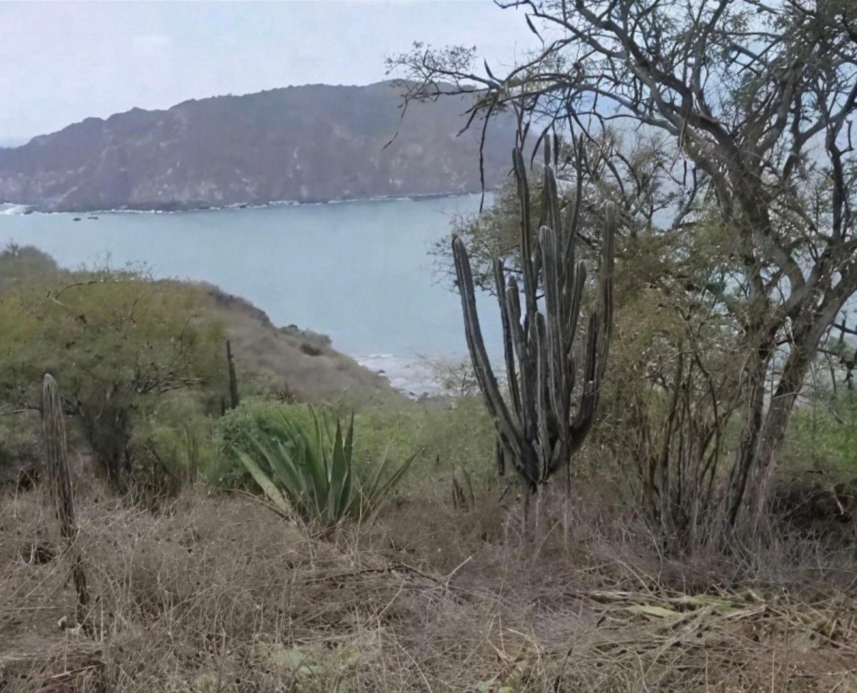 Terreno en Venta en Salango Ings, Manabí — imagen 6
