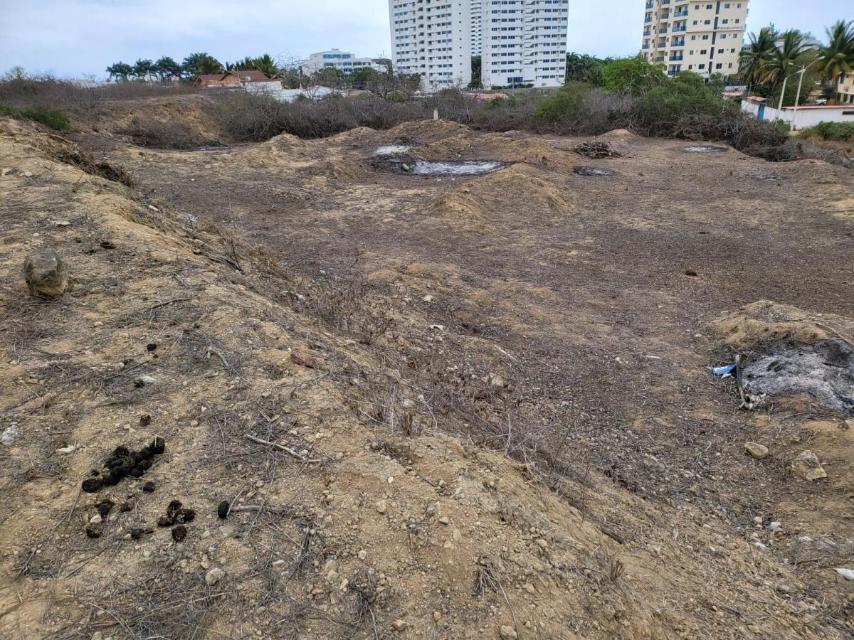 1000 m² Terreno en Loma de Punta Blanca a Pocos Pasos del Mar! — imagen 6
