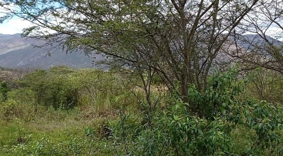 Amplio Terreno en Venta Sector Patapata, Azuay — imagen 10
