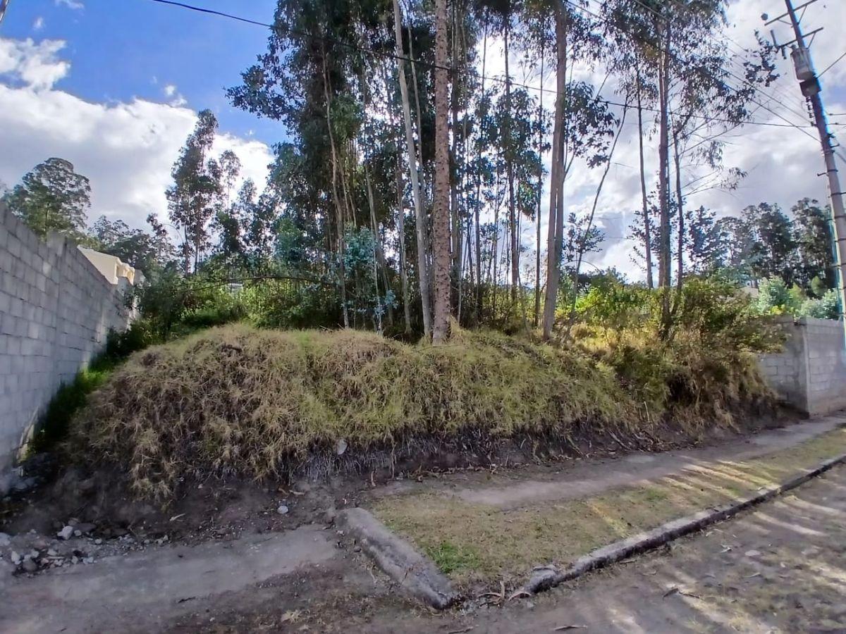 Venta de Terreno Conocoto — imagen 7