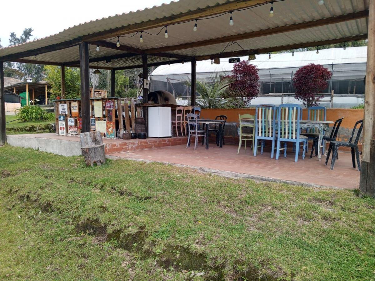 Checa Venta Terreno 11.225 m² Propiedad en Produccion — imagen 9