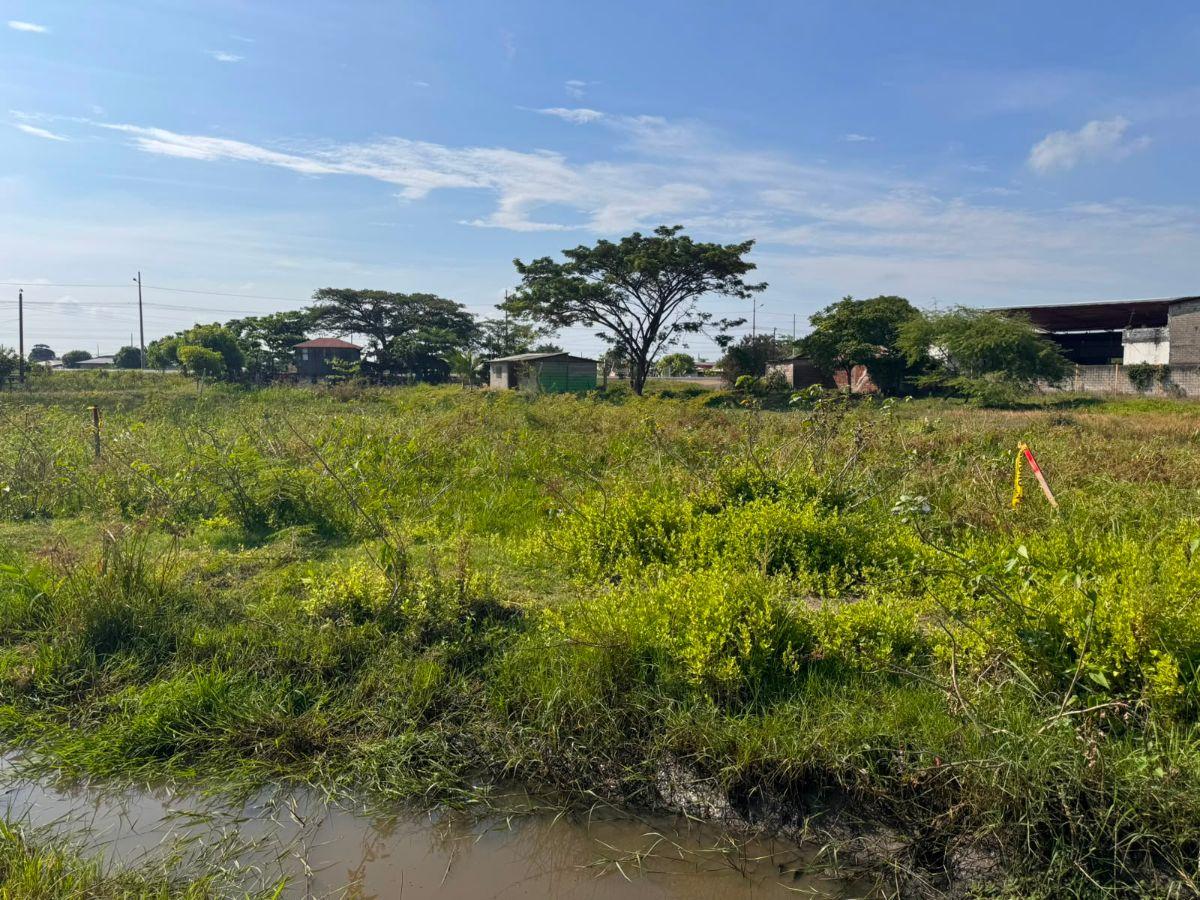 Terreno Comercial en Venta Samborondon 1,333 m², Guayas — imagen 4