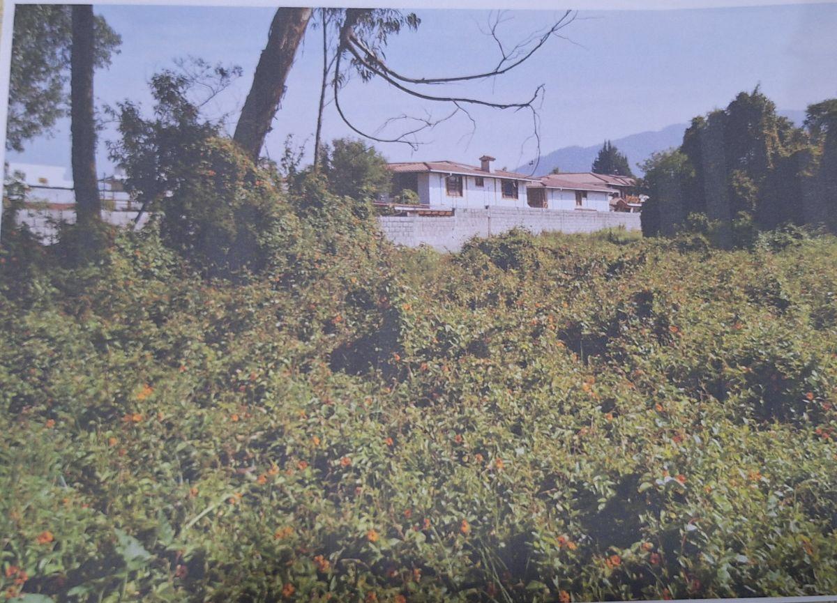 Terreno de Venta, San Gabriel (Sec. Patos Pizza) Calle Pastaza — imagen 7