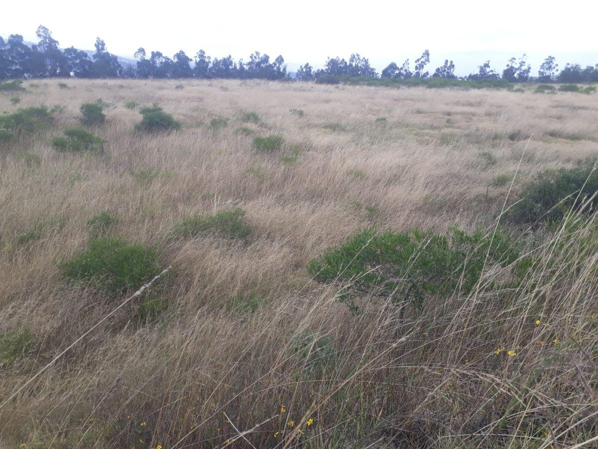 Venta Terreno Solanda, San Bartolo 2'000.000 — imagen 5