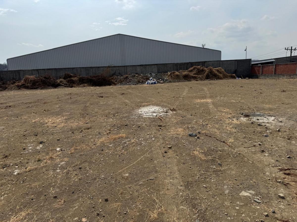 Terreno en Venta 1800 m² - Rellenado - Vía a Daule Km 6, Norte de Guayaquil, Guayas — imagen 7