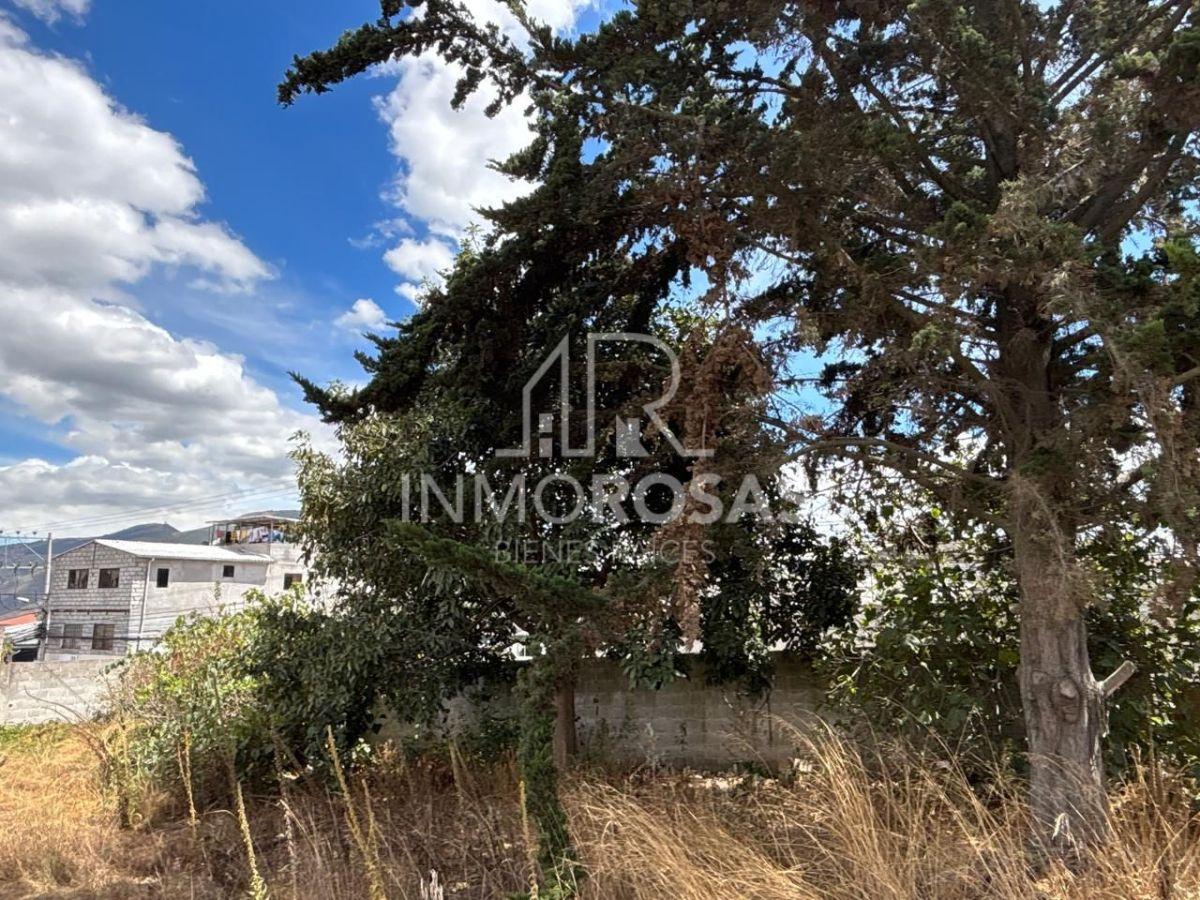 Oportunidad $214.900! Vendo Terreno de 1.945 m² Plano en San José de Morán — imagen 8