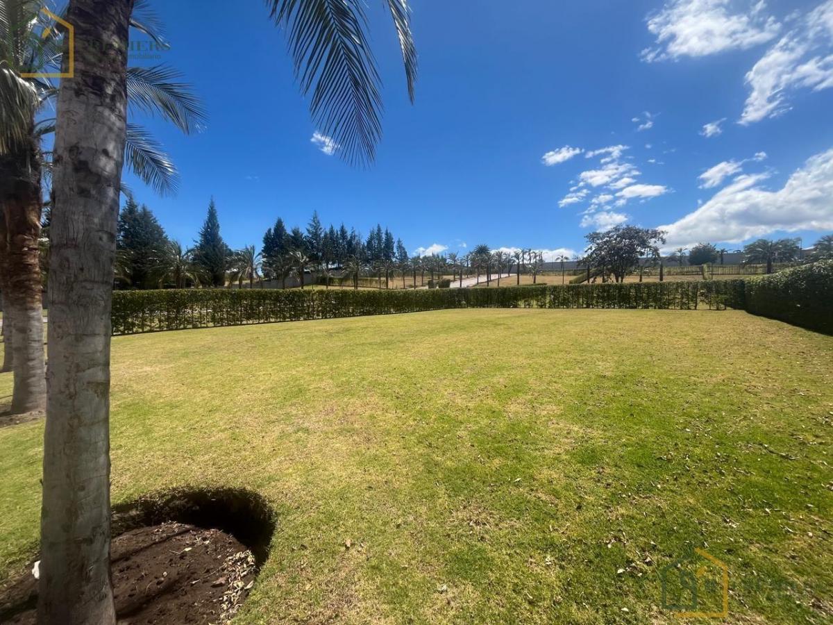 Terreno de Venta en Urb. Palmas del Prado, Puembo, Cerca Colegio Americano — imagen 10