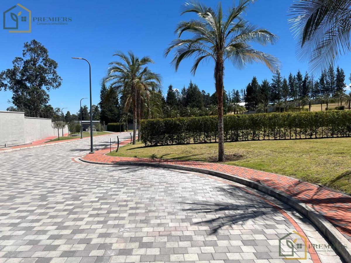 Terreno de Venta en Urb. Palmas del Prado, Puembo, Cerca Colegio Americano — imagen 5