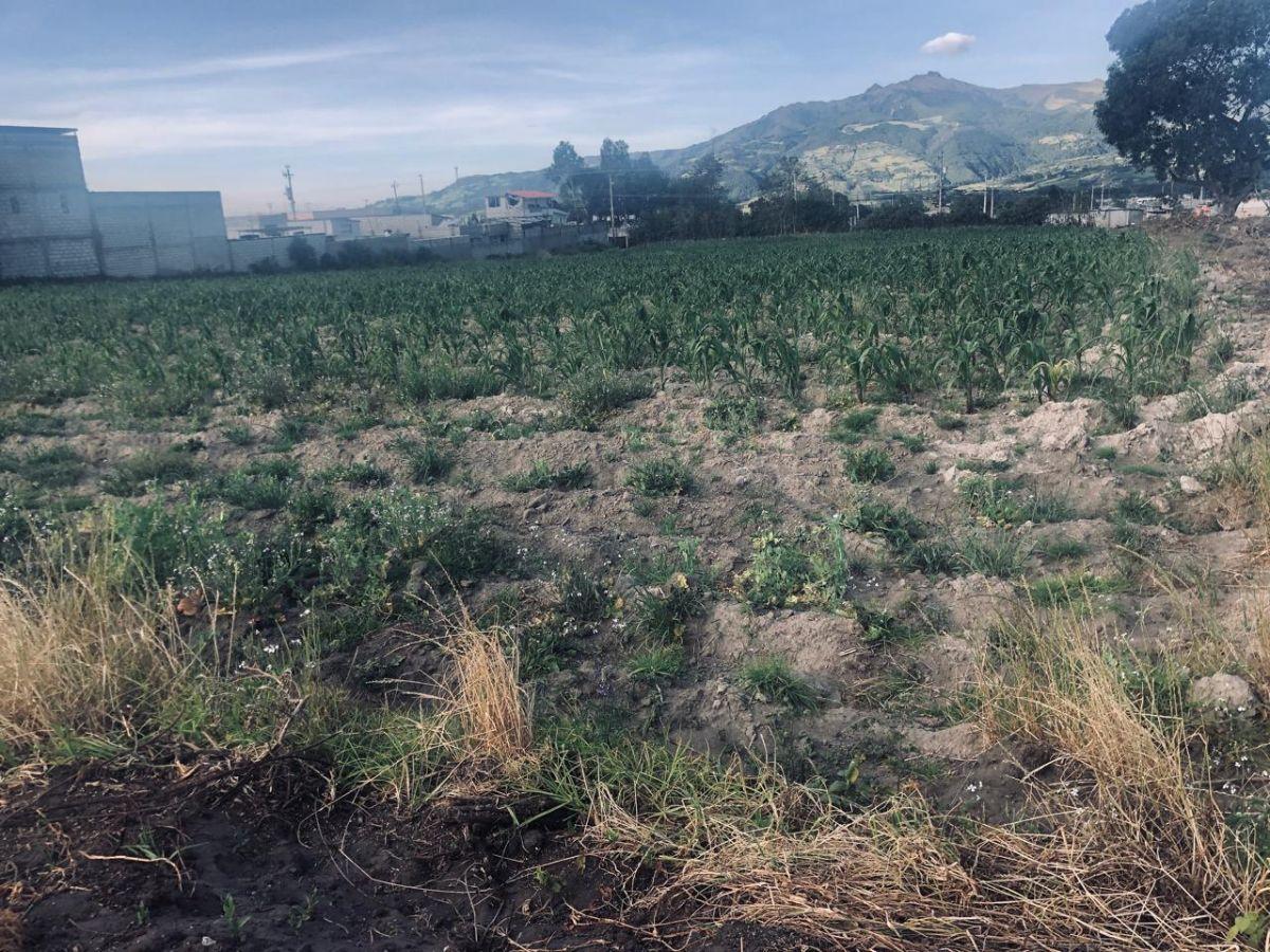 Terreno Urbano Ideal Proyecto Inmobiliario — imagen 6