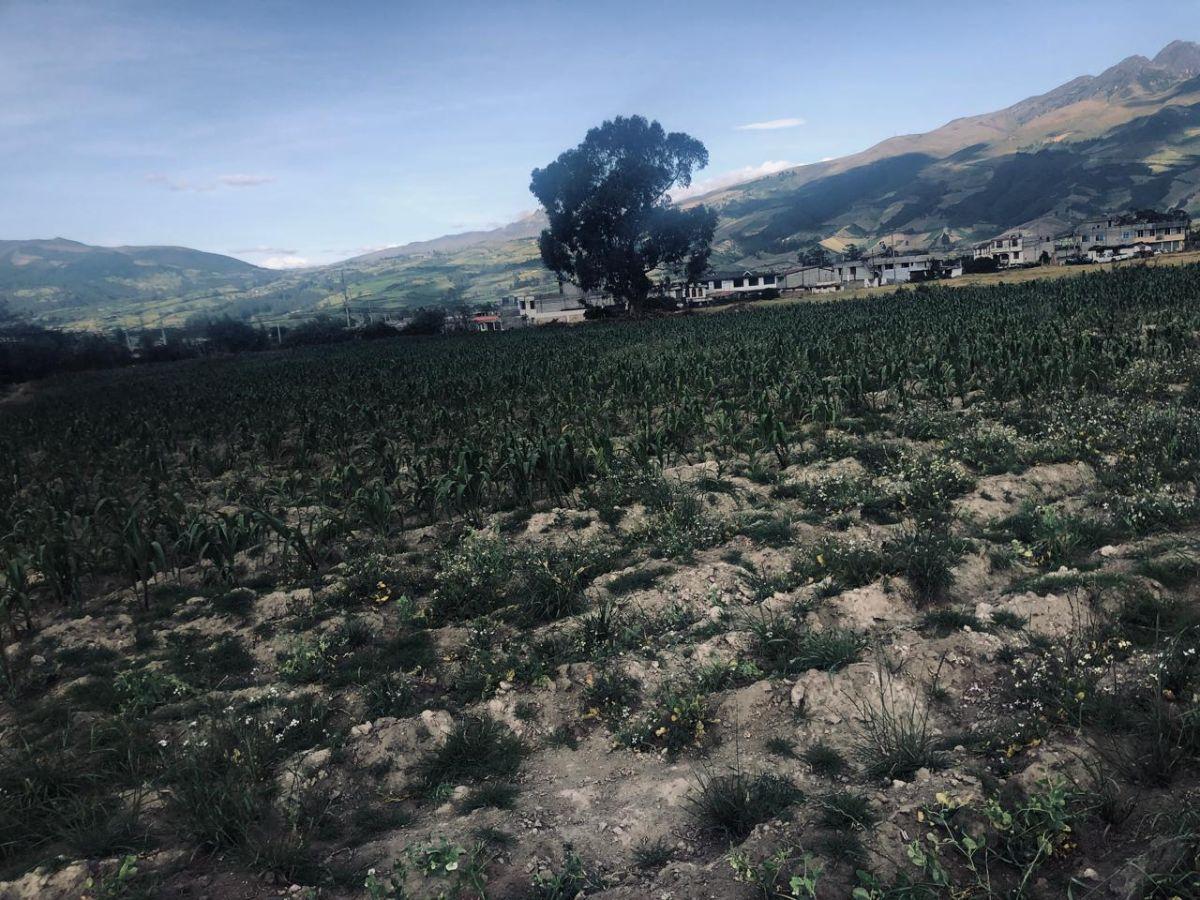 Terreno Urbano Ideal Proyecto Inmobiliario — imagen 3