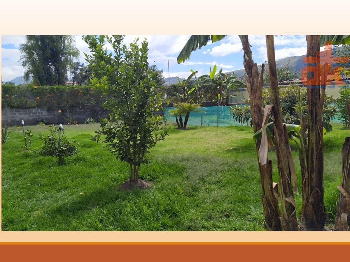 Propiedad de 3.900 m² con Múltiples Construcciones en Tumbaco — imagen 10