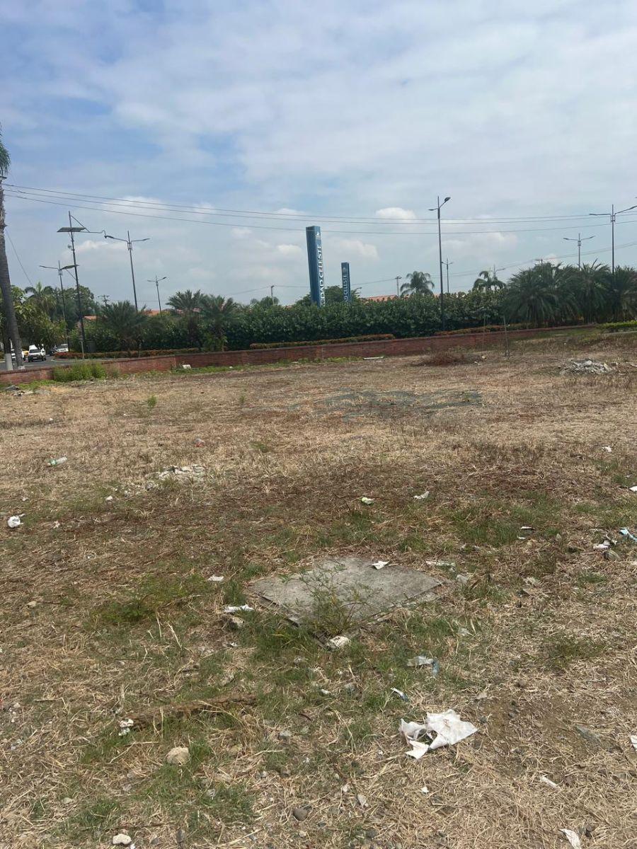 Nuevo Sanborondon, Ciudad Celeste Terreno 743 m, Guayas — imagen 4